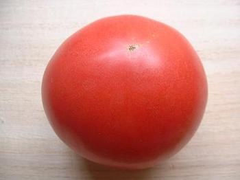 tomato7-1.JPG