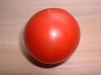 tomato8-1.JPG