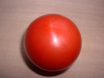 tomato9-1.JPG